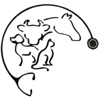 Logo Dra. Raquel Silveira