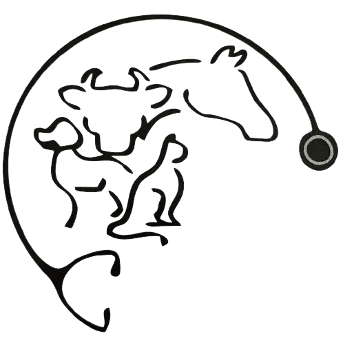 Logo Dra. Raquel Silveira
